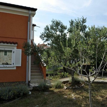 Apartman Branka Kornić Exterior foto